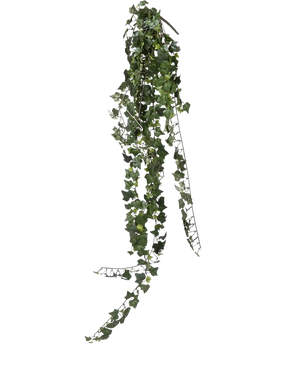 Een enkele streng Kunst klimop hangplant 125 cm brandvertragend met donkergroene, hartvormige bladeren hangt naar beneden tegen een effen witte achtergrond.