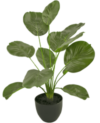 Kunst Calathea 58 cm groen