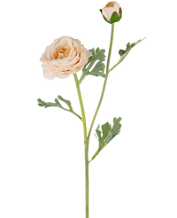 Kunstranonkel Real Touch Crème 60cm
