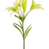 De Kunstbloem Aziatische Lelie 66 cm wit heeft een enkele steel met groene bladeren en drie lichtgroene leliebloemen-twee volledig open, een in knop-getoond tegen een effen witte achtergrond.