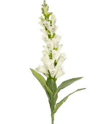 Kunstbloem Vingerhoedskruid 90 cm wit