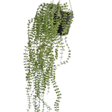 De Kunst hangplant Pumila 81 cm in pot heeft lange, slingerende groene ranken met kleine ronde bladeren in een zwarte hangpot, opgehangen aan beige touwen tegen een effen witte achtergrond.
