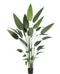 Kunstplant Heliconia 210 cm