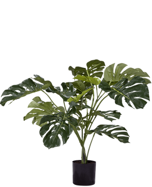 De Kunstplant Monstera 85 cm is een kunstplant met grote, glanzend groene bladeren met kenmerkende splitten en gaten, weergegeven in een eenvoudige zwarte pot tegen een witte achtergrond.