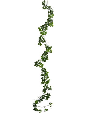 De Kunst slingerplant Gardenia 157 cm heeft een enkele, lange groene liaan met kleine blaadjes die verticaal tegen een effen witte achtergrond hangt.