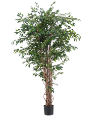 Kunstplant Ficus Liana 180 cm