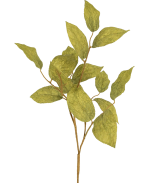 Het Kunsttak appelblad 70 cm heeft meerdere groene, geaderde zijden bladeren op dunne stelen, tegen een effen, lichte achtergrond.