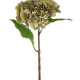 De Kunst Hortensia Deluxe 55 cm groen/paars heeft een enkele kunsthortensiastam met groene en paarse bloemblaadjes en twee groene bladeren op een effen witte achtergrond.