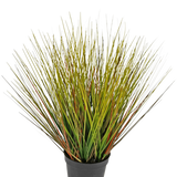 De Kunst Grasplant Onion 50 cm brandvertragend heeft hoge, dunne, grasachtige groene en geelachtige bladeren met roodbruine vleugjes, dicht op elkaar en uitwaaierend naar buiten in een zwarte plastic pot.