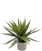 De Kunstplant Boston Varen 48 cm in sierpot is een realistische groene varenplant gepresenteerd in een decoratieve betonnen pot, tegen een witte achtergrond.