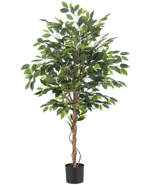 De Kunstplant Ficus 150 cm brandvertragend heeft groene bladeren en meerdere slanke, gedraaide bruine stammen in een zwarte pot. Het brandvertragende materiaal zorgt voor extra veiligheid in elke ruimte.