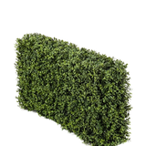 De Kunst Buxushaag UV 100x20x50 cm heeft een dichte, groene rechthoekige haag tegen een effen witte achtergrond.