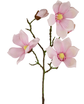 De Kunst Magnolia Real Touch Roze 72cm heeft meerdere lichtroze magnolia bloemen en knoppen met een geel hart op groene stelen, tegen een effen witte achtergrond.