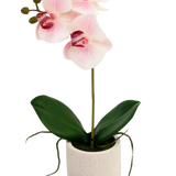 De Kunst Orchidee Real Touch 30 cm roze/wit heeft drie lichtroze bloemen en groene bladeren in een eenvoudige witte pot, perfect om elke ruimte op te fleuren.