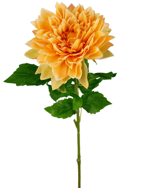 De Kunst Georgine Real Touch geel 70cm heeft een enkele gele dahlia met gelaagde bloemblaadjes en groene bladeren op een lange steel, geïsoleerd op een witte achtergrond.