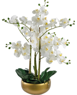 De Kunst Orchidee Real Touch 50 cm wit heeft levensechte witte orchideeën met gele hartjes en groene knoppen, allemaal gerangschikt met groene bladeren in een stijlvolle gouden pot.