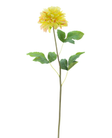 De Kunstbloem Dahlia Real Touch Champagne 73 cm heeft een realistische champagnekleurige dahliabloem met groene bladeren op een lange, slanke steel tegen een witte achtergrond.