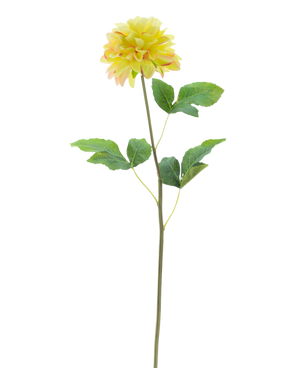 De Kunstbloem Dahlia Real Touch Champagne 73 cm heeft een realistische champagnekleurige dahliabloem met groene bladeren op een lange, slanke steel tegen een witte achtergrond.