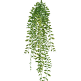 De Kunst hangplant Vetplant 76 cm heeft groene bladeren en dunne stengels tegen een effen witte achtergrond.