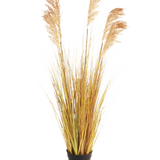 De Kunst Grasplant Sorghum 110 cm brandvertragend heeft lange, geelgroene bladeren en vederlichte bruine pluimen in een zwarte pot - ideaal om je Boho interieur een stijlvolle flair te geven tegen een effen witte achtergrond.