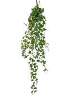 De Kunst hangplant Klimop deluxe 120 cm groen heeft lange, groene ranken met hartvormige bladeren, perfect om een vleugje natuurlijke schoonheid toe te voegen tegen een effen witte achtergrond.