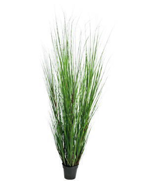 De Kunst Grasplant Onion 170 cm is een hoge, brandvertragende kunstgrasplant met lange, dunne groene sprieten in een compacte zwarte pot, afgebeeld tegen een effen witte achtergrond.