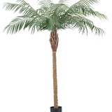 De Kunstplant Phoenix Palm De Luxe 180 cm heeft vederlichte groene bladeren en een bruine stam met textuur in een kleine zwarte pot en brengt een tropische sfeer in elke ruimte.
