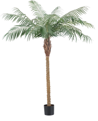Kunstplant Phoenix Palm De Luxe 180 cm