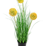 De Kunst Grasplant Ui 50 cm brandvertragend heeft lange, dunne groene bladeren en drie ronde gele pluizige bloemen op hoge stelen, die groene tuin charme toevoegen tegen een effen witte achtergrond.