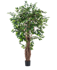 Kunstplant Ficus Tropical  Liana 180 cm