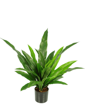 De Kunstplant Bird's Deluxe 60 cm is een groene kamerplant in pot met lange, smalle, puntige bladeren in een zwarte pot tegen een effen witte achtergrond.