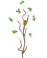 De Kunsttak Enkianthus 100 cm groen, een slanke kunstliaan met kleine groene blaadjes en mosaccenten, staat tegen een effen witte achtergrond.