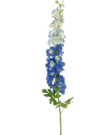 De Kunstbloem Delphinium 105 cm blauw heeft een enkele lange steel met blauw-witte bloemen en groene bladeren, tegen een effen witte achtergrond.