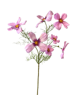 De Kunstbloem Cosmos 74 cm roze heeft een enkele stengel met meerdere lichtroze cosmos bloemen en delicate groene blaadjes, prachtig weergegeven tegen een witte achtergrond.