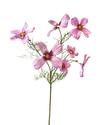 Kunstbloem Cosmos 74 cm roze