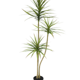De Kunstplant Dracaena Fragnans 150 cm is een hoge kunstplant in pot met drie slanke stengels met piekerige groene bladeren tegen een effen witte achtergrond.