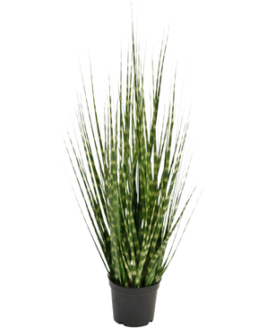 De Kunstgras Zebra uiengras tak is een 56 cm brandvertragende kunstplant met lange, smalle groene bladeren en lichtgroene strepen, die rechtop staat in een kleine zwarte pot tegen een witte achtergrond.