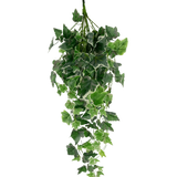De Kunst Klimop 70 cm groen/wit heeft kunstmatige klimopbladeren in groen met witte randen, gerangschikt in een cascadevorm en weergegeven tegen een effen witte achtergrond.