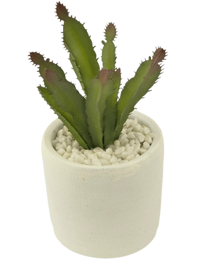 De Kunst vetplant 20 cm is een groene stekelige vetplant met roodachtige uiteinden in een witte pot van keramiek gevuld met witte kiezels, afgebeeld tegen een effen witte achtergrond.