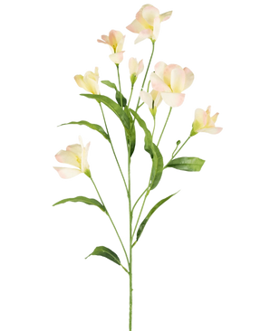 De Kunst Rhododendron Azalea Real Touch Crème/roze 80cm heeft een enkele groene stengel met vertakkende, slanke bladeren en delicate crèmeroze bloemen, prachtig tegen een effen witte achtergrond.