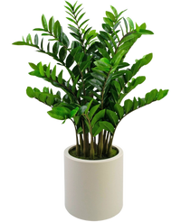 Kunstplant Zamioculcas kant en klaar in beige pot 120 cm