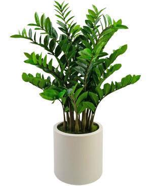 De Kunstplant Zamioculcas kant en klaar, 120 cm hoog met glanzend groene bladeren, staat rechtop in een eenvoudige beige pot tegen een effen witte achtergrond.