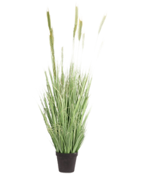 Kunst Grasplant Groen 160 cm brandvertragend