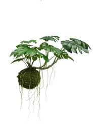 Kunst hangplant Monstera Deluxe 60 cm