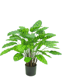 Kunstplant Calathea Makoyana UV 75 cm rood