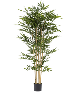 De Kunstplant Bamboe 210 cm is een hoge kunstbamboe met slanke groene bladeren en meerdere gele stengels, in een kleine zwarte pot tegen een witte achtergrond.