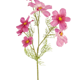 Een enkele Kunstbloem Cosmos 74 cm fuchsia met delicate, gevederde bladeren en meerdere fuchsia bloemen met gele harten wordt getoond tegen een effen witte achtergrond.