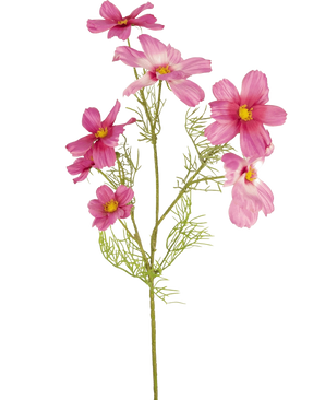 Een enkele Kunstbloem Cosmos 74 cm fuchsia met delicate, gevederde bladeren en meerdere fuchsia bloemen met gele harten wordt getoond tegen een effen witte achtergrond.