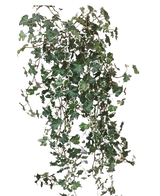 De Kunst Klimop Deluxe Rijk Groen-wit 90 cm heeft weelderige groene en witte gelobde bladeren op slepende stelen, die prachtig afsteken tegen een effen witte achtergrond.