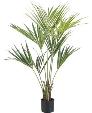 De Kunstplant Kentia Palm 120 cm heeft lange, groene, slanke bladeren en wordt geleverd in een kleine zwarte pot, tegen een effen witte achtergrond.